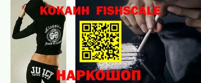 стаф Краснодар