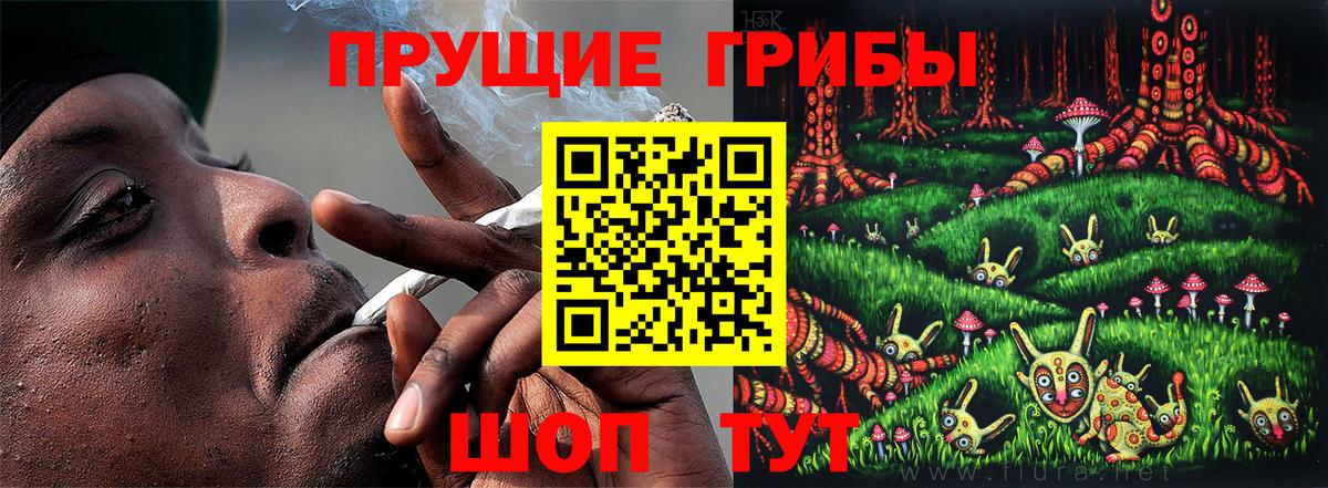 Псилоцибиновые грибы мицелий  Вход с VPN  Кирово-Чепецк 